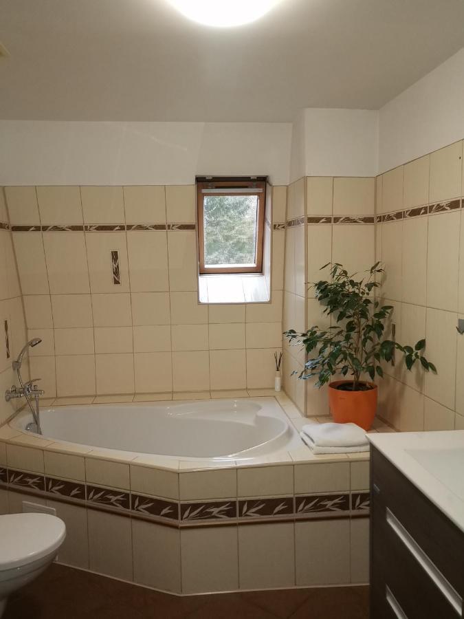 Apartmany Paseky - Яблонец над Нисоу Екстериор снимка